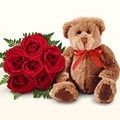 Ankara Bat�kent �i�ek g�nder firma �r�n�m�z 5 adet g�l ve pelu� oyuncak