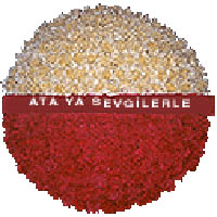 Ankara Bat�kent �i�ek�i firmam�zdan An�tkabir i�in �i�ek �elenk modeli