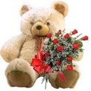 Ankara Bat�kent Ba�lum �i�ek�i firma �r�n�m�z 9 adet g�l ve orta boy ay�c�k