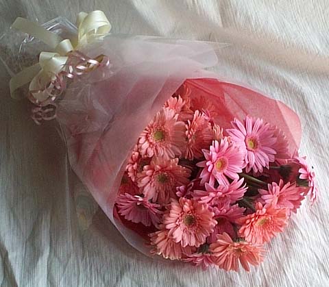 Ankara Bat�kent �i�ek g�nderimi site �r�n�m�z 13 adet gerbera �i�ek buketi