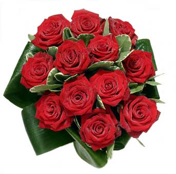 Ankara Bat�kent �i�ek g�nderme firmam�zdan size �zel taze k�r �i�ekleri demeti