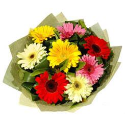 Ankara Bat�kent Ke�i�ren �i�ek�i firma �r�n�m�z Kar���k renkte gerbera �i�ekleri