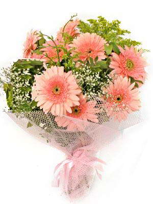 Ankara Bat�kent Bat�kent �i�ek�i firmas� �r�n�m�z taze k�r �i�ekleri gerbera demeti