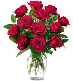 Ankara Bat�kent de farkl� bir �i�ek firmas� �r�n�  Sevgiye hasret g�lleri Ankara �i�ek g�nder firmas� �ahane �r�n�m�z 