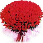Ankara Bat�kent �i�ek firmam�zdan �zel ve sevgi i�inde 365 g�n Ankara �i�ek g�nder firmas� �ahane �r�n�m�z 