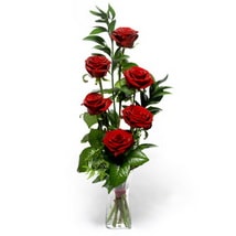 Ankara Bat�kent Yenimahalle �i�ek�i firma �r�n�m�z vazo i�erisinde 5 adet g�l Ankara �i�ek g�nder firmas� �ahane �r�n�m�z 