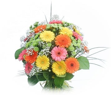 Ankara Bat�kent Demetevler �i�ek�i firma �r�n�m�z kar���k gerbera mevsim �i�ek buketi