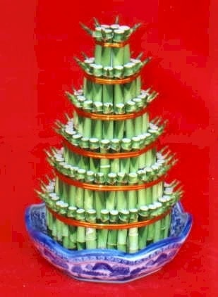 Ankara Bat�kent ostim �i�ek sipari�i firma �r�n�m�z Lucky Bamboo �ans mele�i �i�e�i bambu �i�e�i